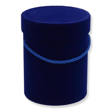48199 royal blue