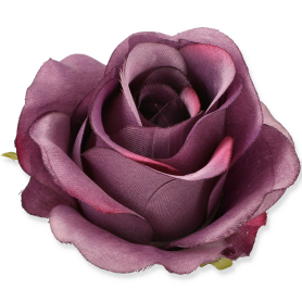 55682 pu492