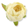 52602 lemon