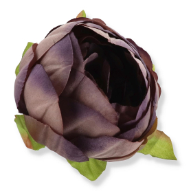52602 aut purple