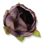 52602 aut purple