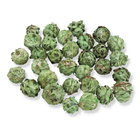 r104 lime