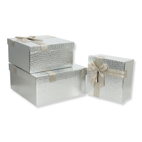 541 silver