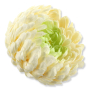 63172 1