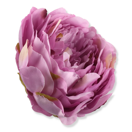 62236 lilac