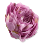 62236 lilac