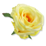 61347 lemon