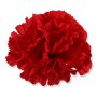 52531 red