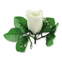 51372 white