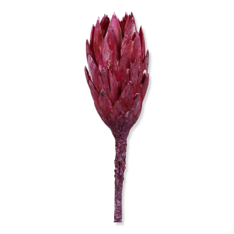 r137 brombeer