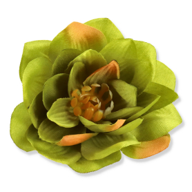 50509 new dk green
