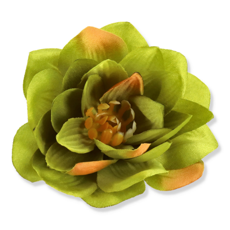 50509 new dk green