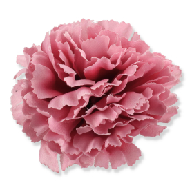52531 aut pink