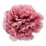 52531 aut pink