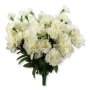 51456 cream