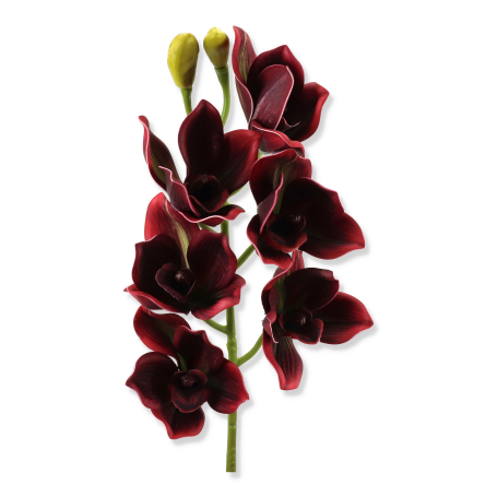 63065 burgundy