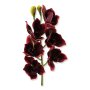 63065 burgundy