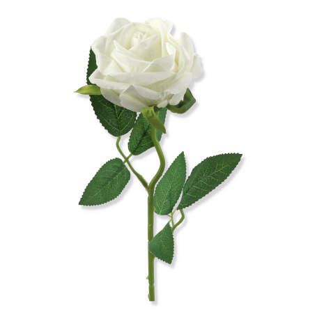 68191 white