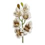 63065 white lampart