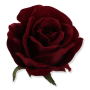 63178 dr red