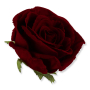 62695 dr red