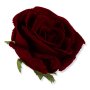 62695 dr red
