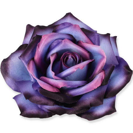 55824 blue purple