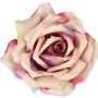 55824 blossom