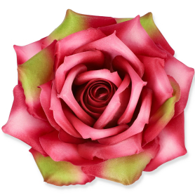 55824 pink green