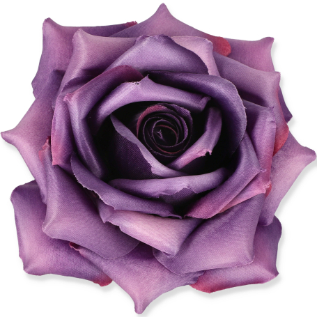 55824 dk purple