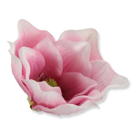 Magnolia główka kwiatkowa P008