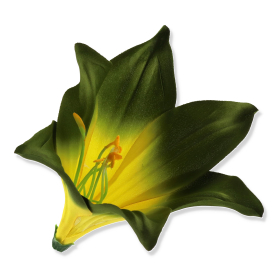 56607 dk green