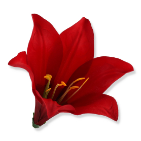 56607 red