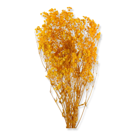 022 yellow