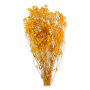 022 yellow