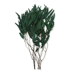 009 green