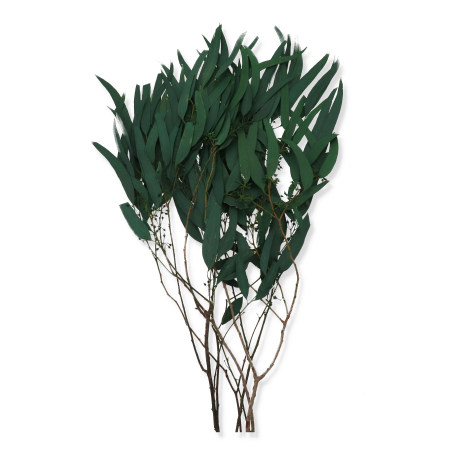 009 green