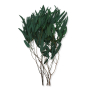 009 green