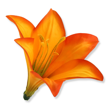 56607 dk orange