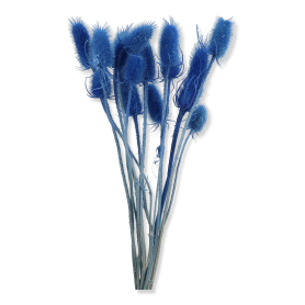 057 blue
