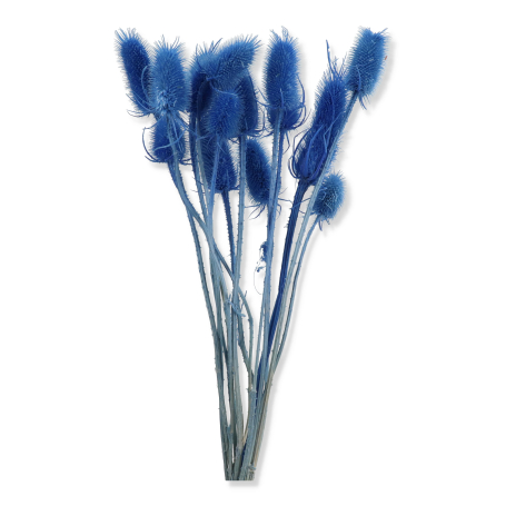 057 blue