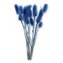 057 blue