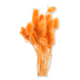 057 orange