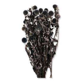 051 natura