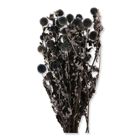 051 natura