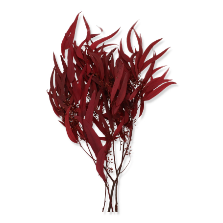 009 red