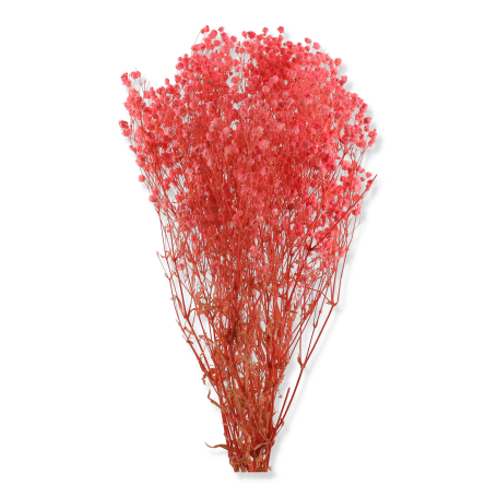 022 lt pink