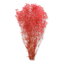 022 lt pink