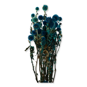 051 blue