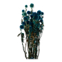 051 blue